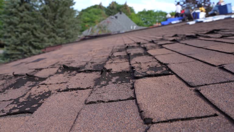 Best Asphalt Shingle Roofing  in Caldwell, OH